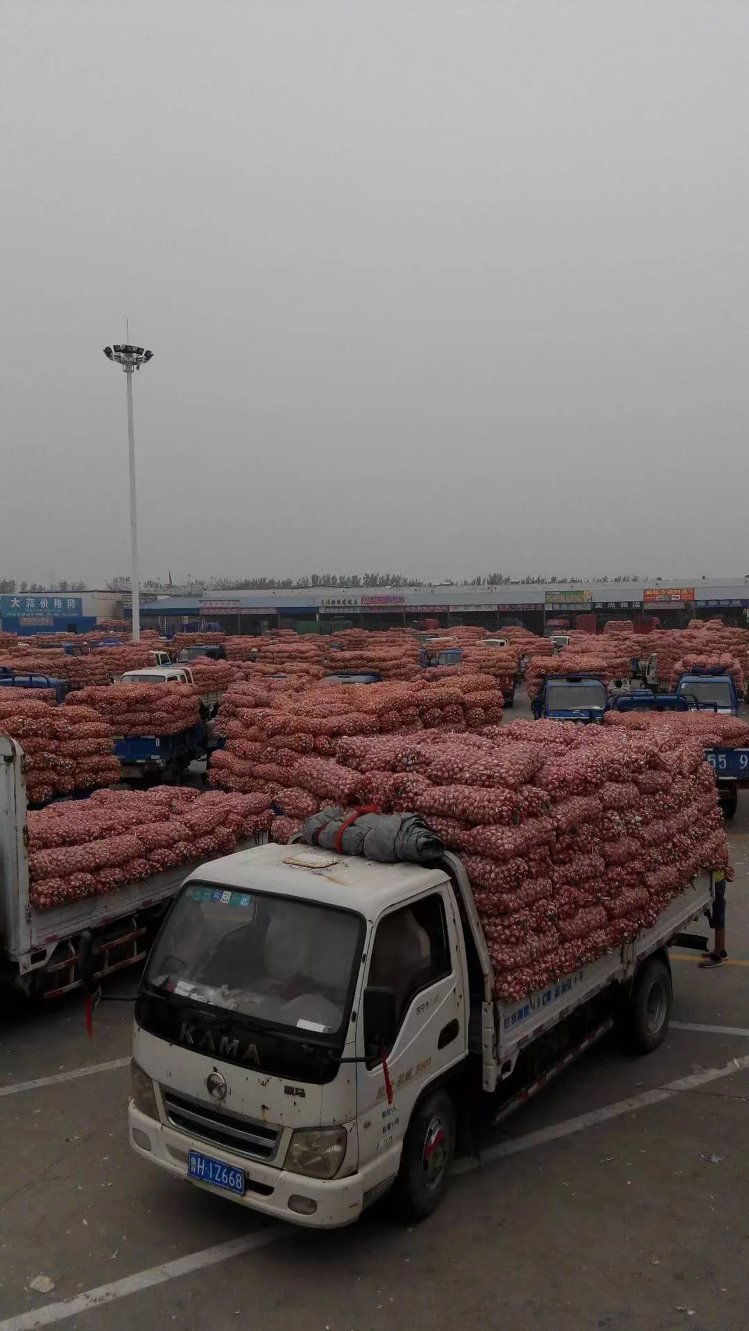 Vitlök Från Marknaden